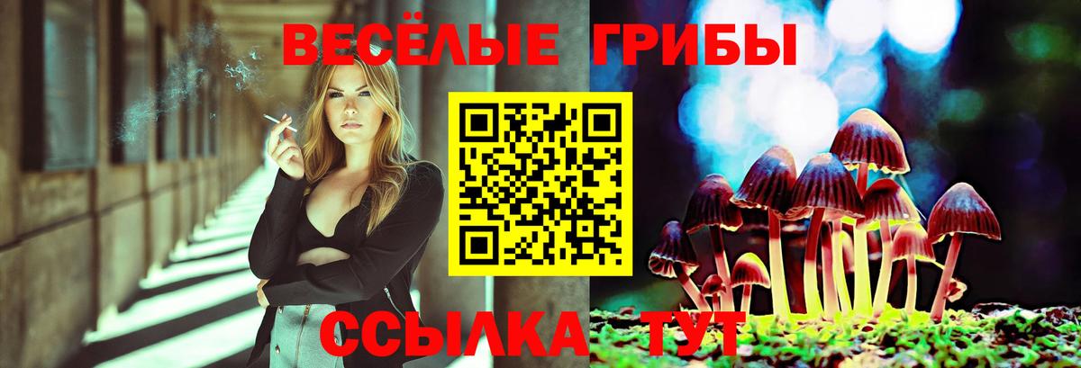 Галлюциногенные грибы ЛСД Назрань